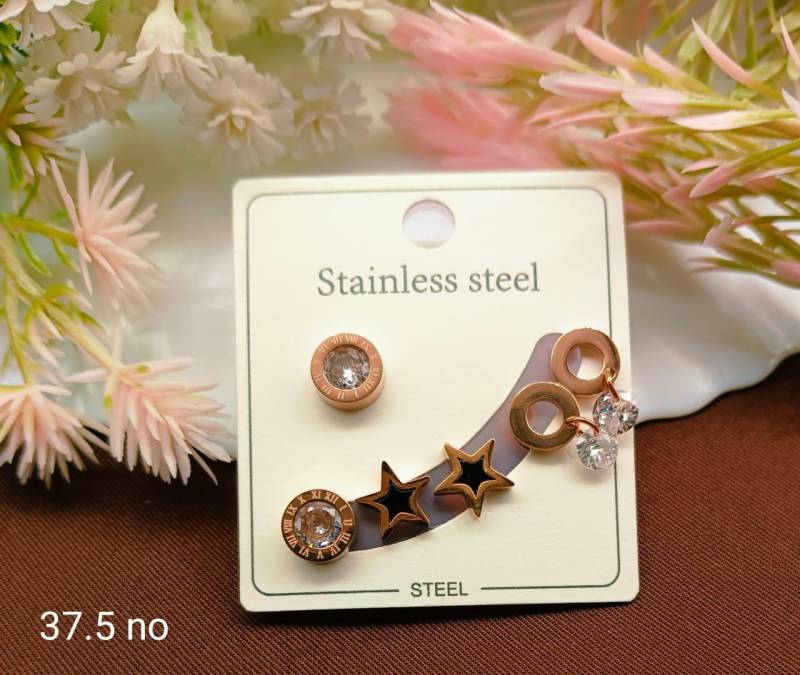 Stainless Steel Earrings 5