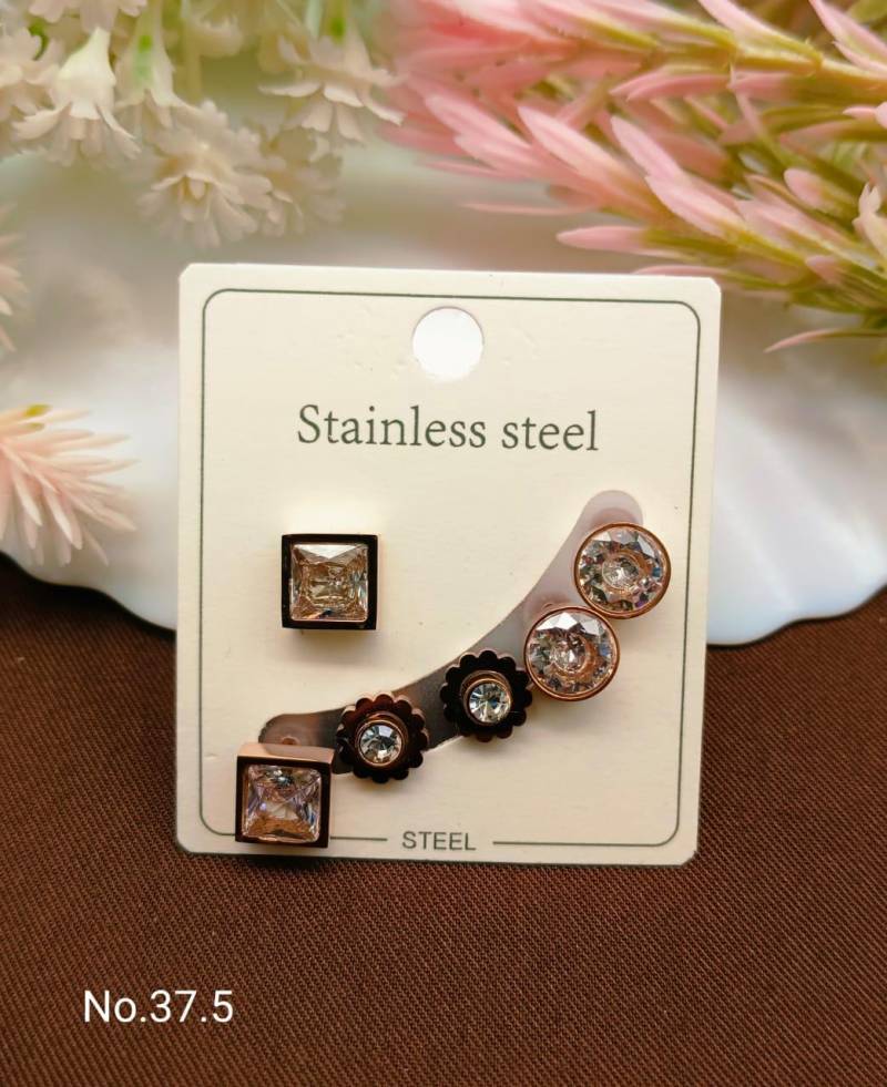 Stainless Steel Earrings 5