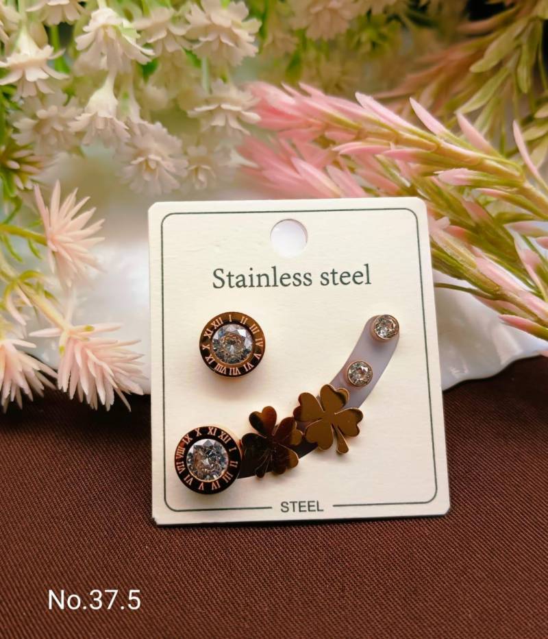 Stainless Steel Earrings 5