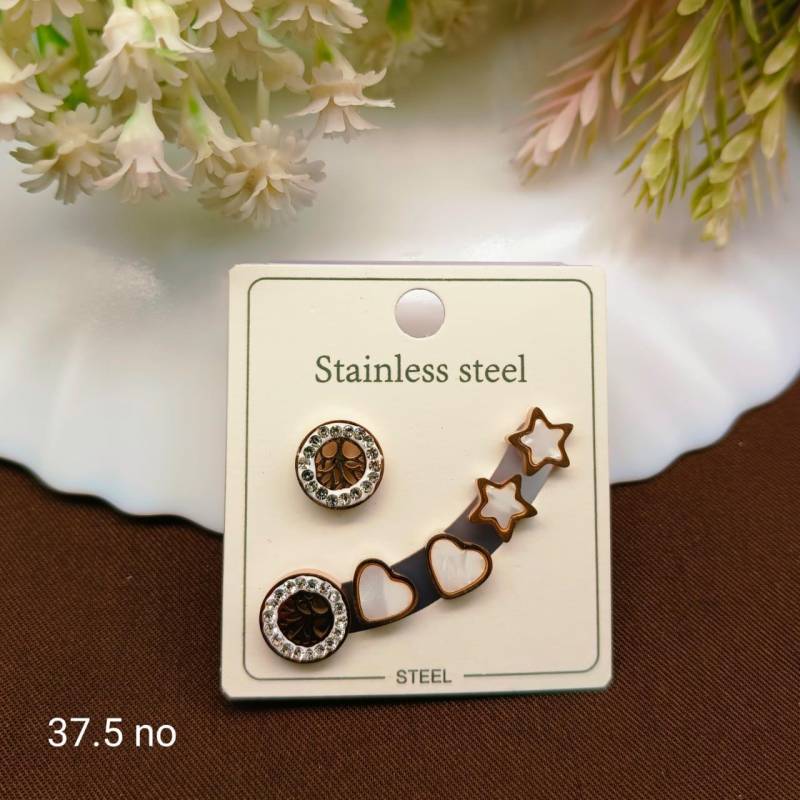 Stainless Steel Earrings 5