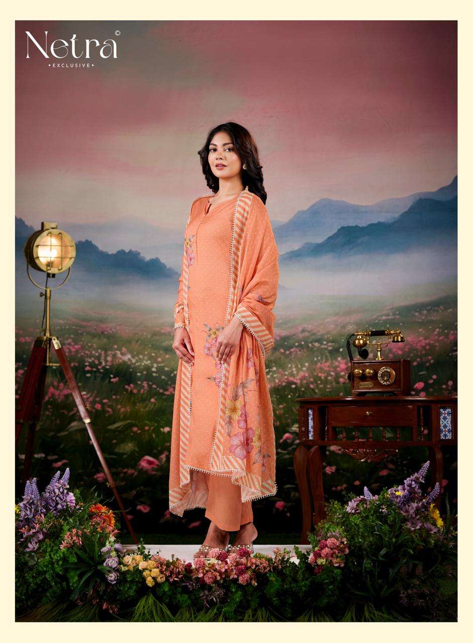 Netra Exclusive Fiyara Premium Banarasi Mal Chanderi Dress Material - Amrah Wholesale