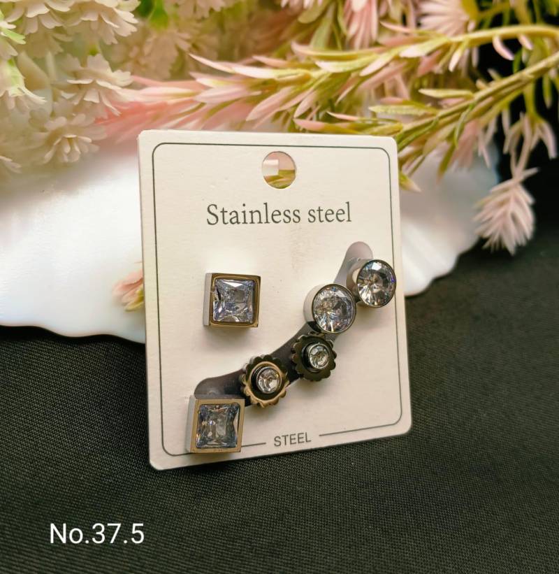 Stainless Steel Earrings 4