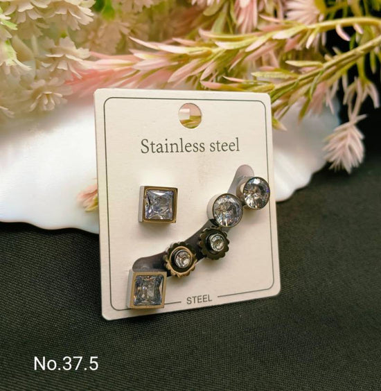 Stainless Steel Earrings 4