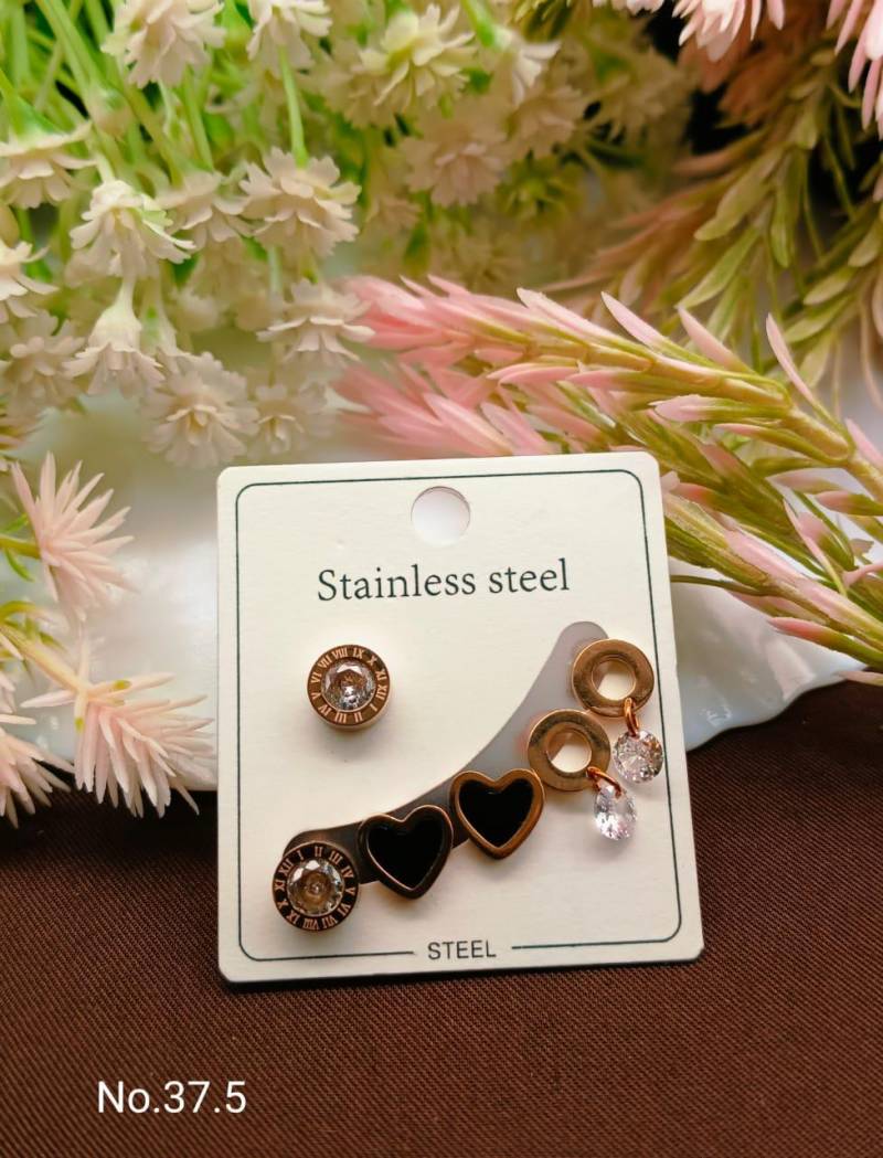 Stainless Steel Earrings 5