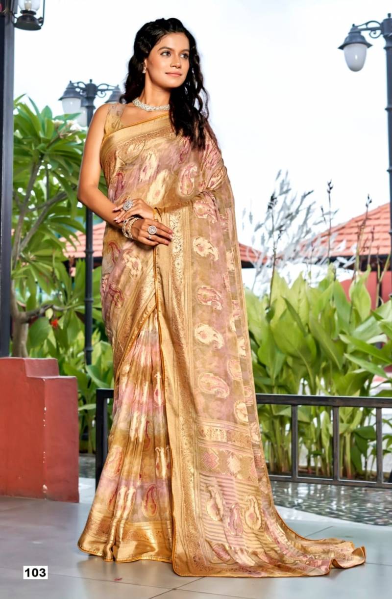 Kashvi Nandika Vol 1