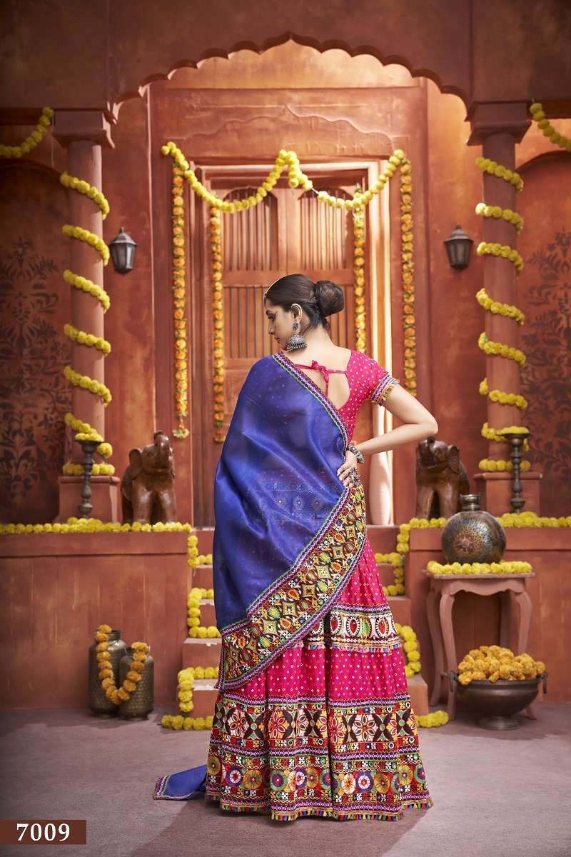 Aawiya Rajwadi Vol