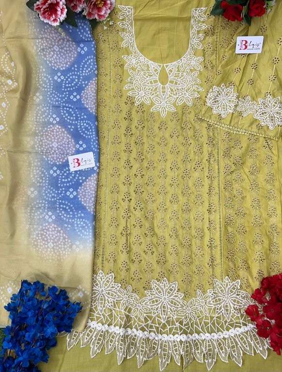 Bilqis B-189 Colour
