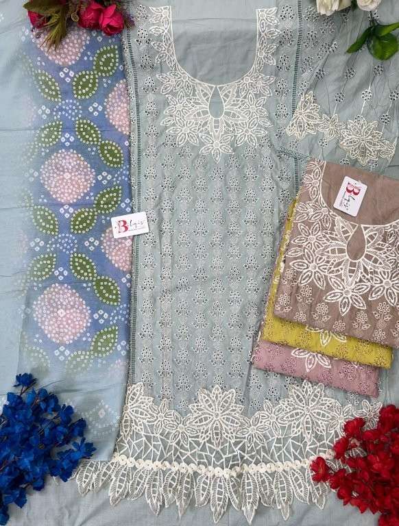 Bilqis B-189 Colour