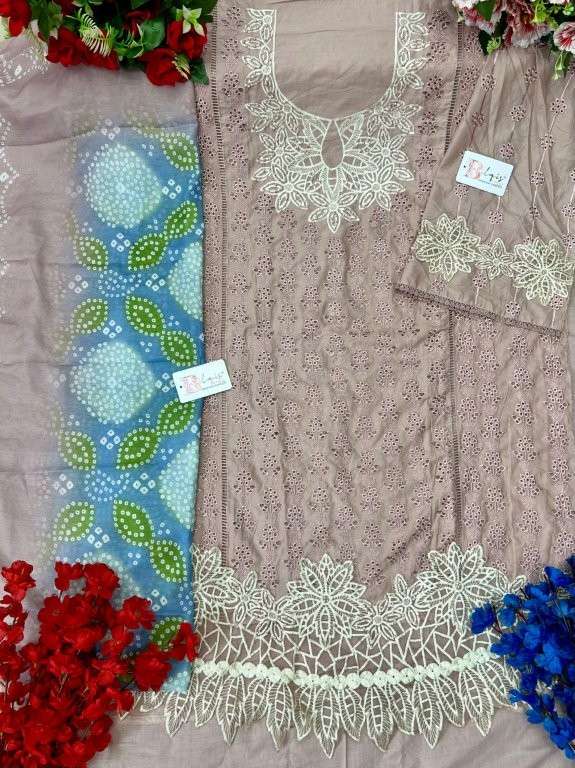 Bilqis B-189 Colour