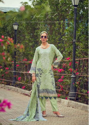 Cosmos Needle Wonder Vol-02