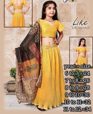 Arya Dress Maker Like  (5 Pcs)