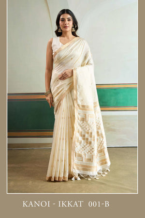 Rajtex Kanoi Ikkat