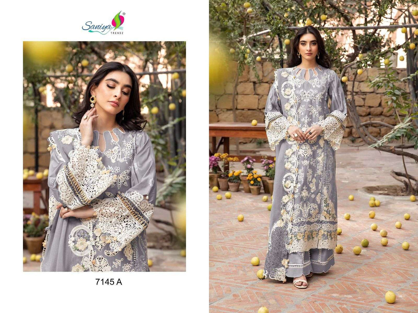 Saniya Trendz Ombre Premium 7145