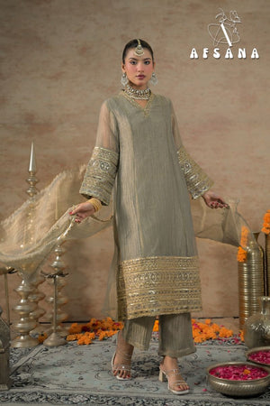 Afsana Dilruba Shimmer Silk Salwar Suit Set
