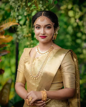 Aab Kanchivaram Jari Silk
