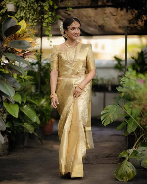 Aab Kanchivaram Jari Silk