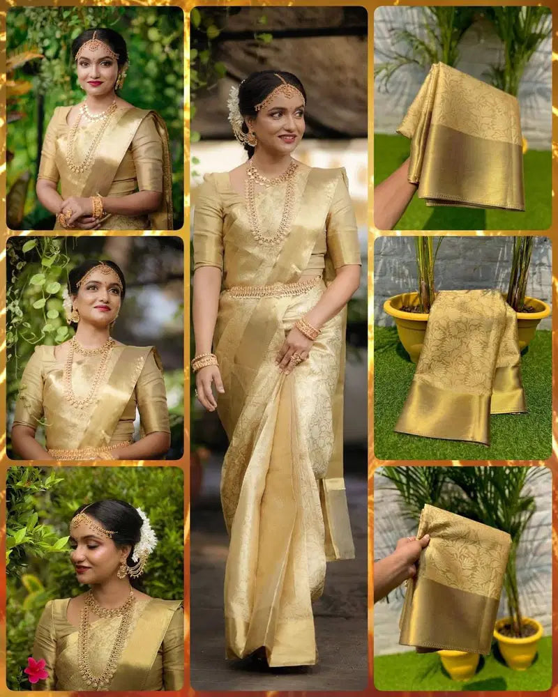 Aab Kanchivaram Jari Silk