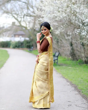 Amrah Wholesale Aab Ladali Vol 1 Art Silk Saree