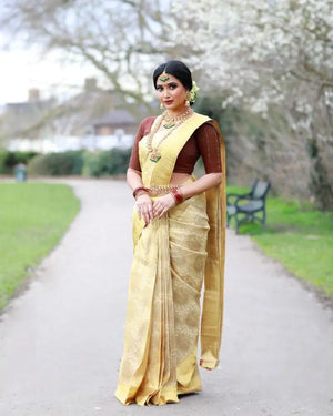 Amrah Wholesale Aab Ladali Vol 1 Art Silk Saree