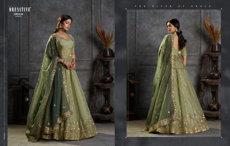 Arya Designs Saanjh Organza Embroidered Lehenga