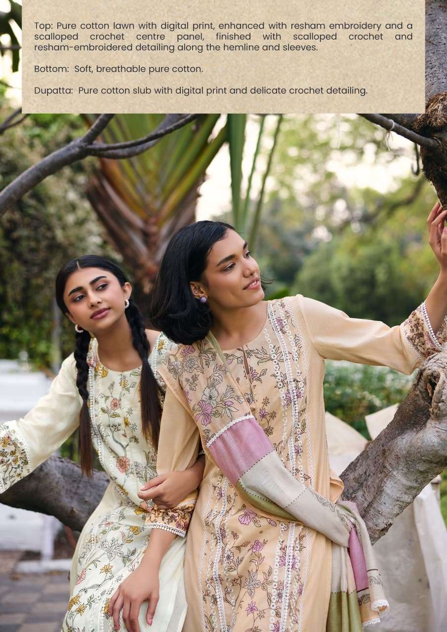Kimora Gulaabi - Amrah Wholesale