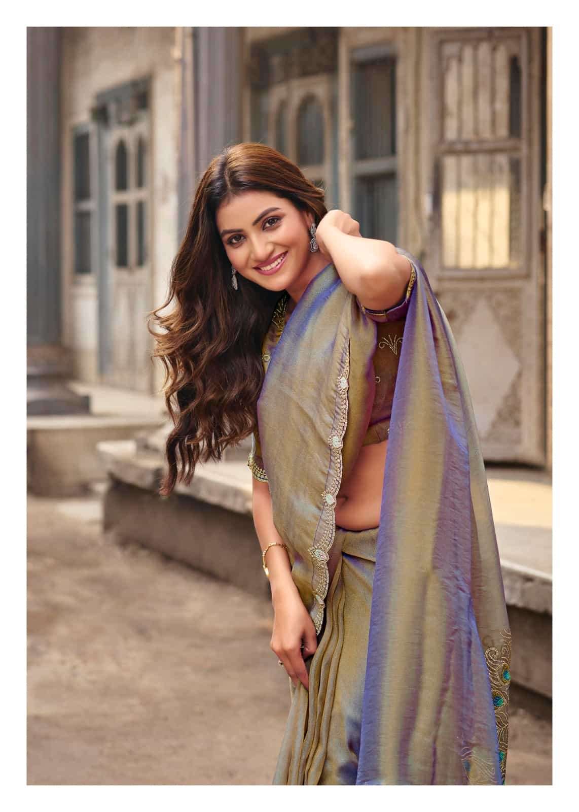 LT Fabrics Jimmy Vol 2 PN Cloud Fancy Embroidered Saree - Amrah Wholesale