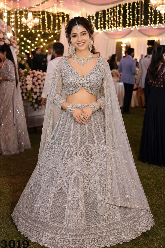 MRUDANGI Barkha Premium Net Embroidered Lehenga