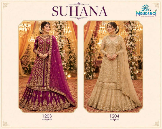 MRUDANGI SUHANA Net Embroidery Sequins Stone Work Stitched Dresses