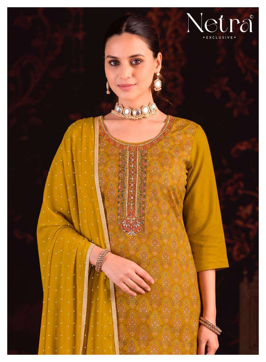Netra Exclusive Bhargavi Exclusive Fancy Dress Material