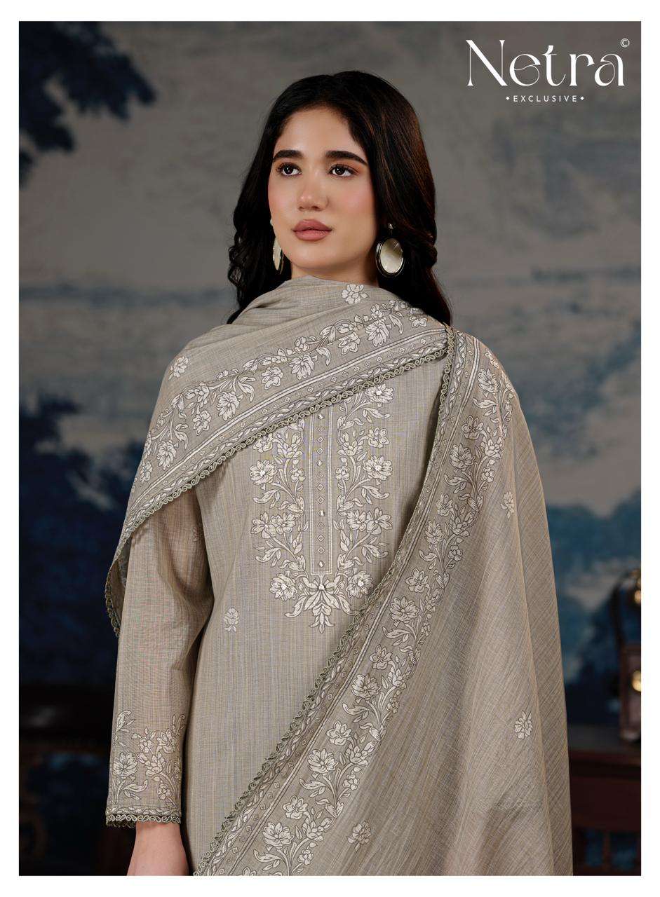 Netra Darpika Banarasi Mul Chanderi Dress Material - Amrah Wholesale