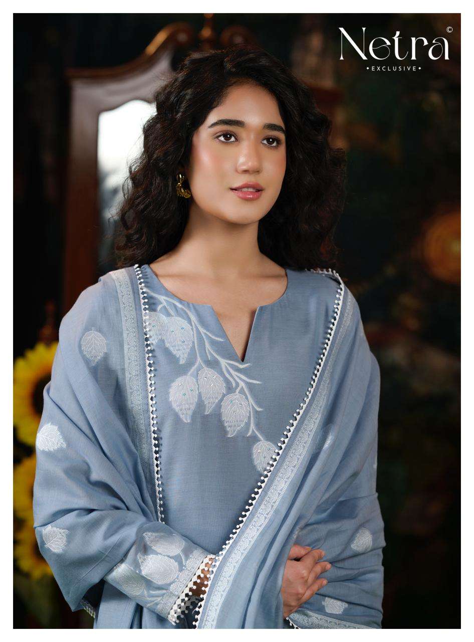 Netra Exclusive Eva Dress Material - Amrah Wholesale