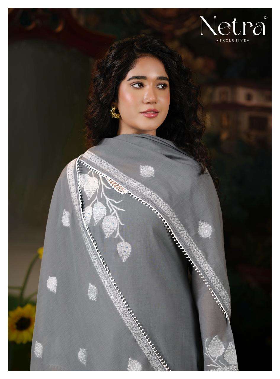 Netra Exclusive Eva Dress Material - Amrah Wholesale