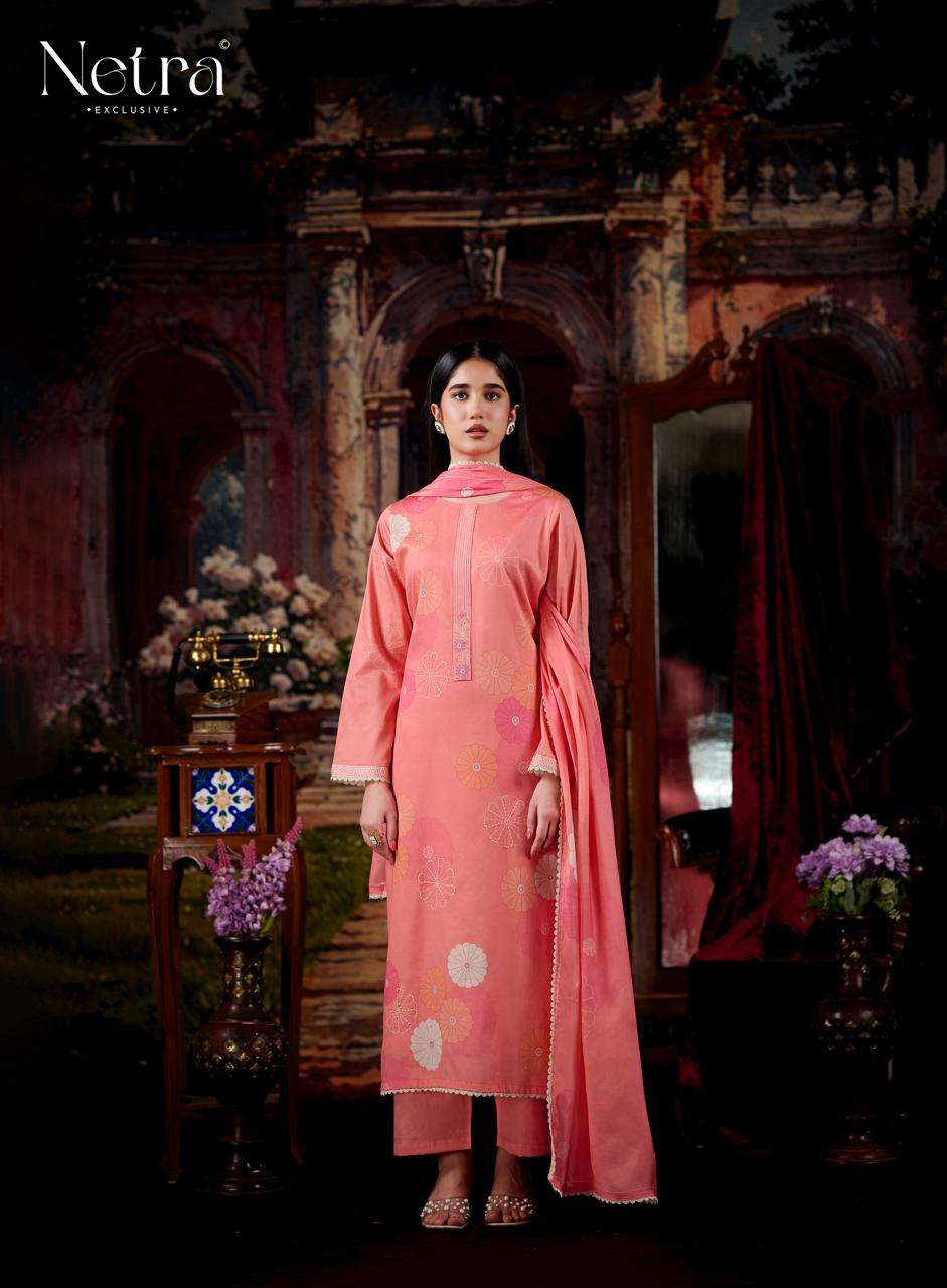 Netra Exclusive Aanchi Pure Cotton Dress Material Wholesale