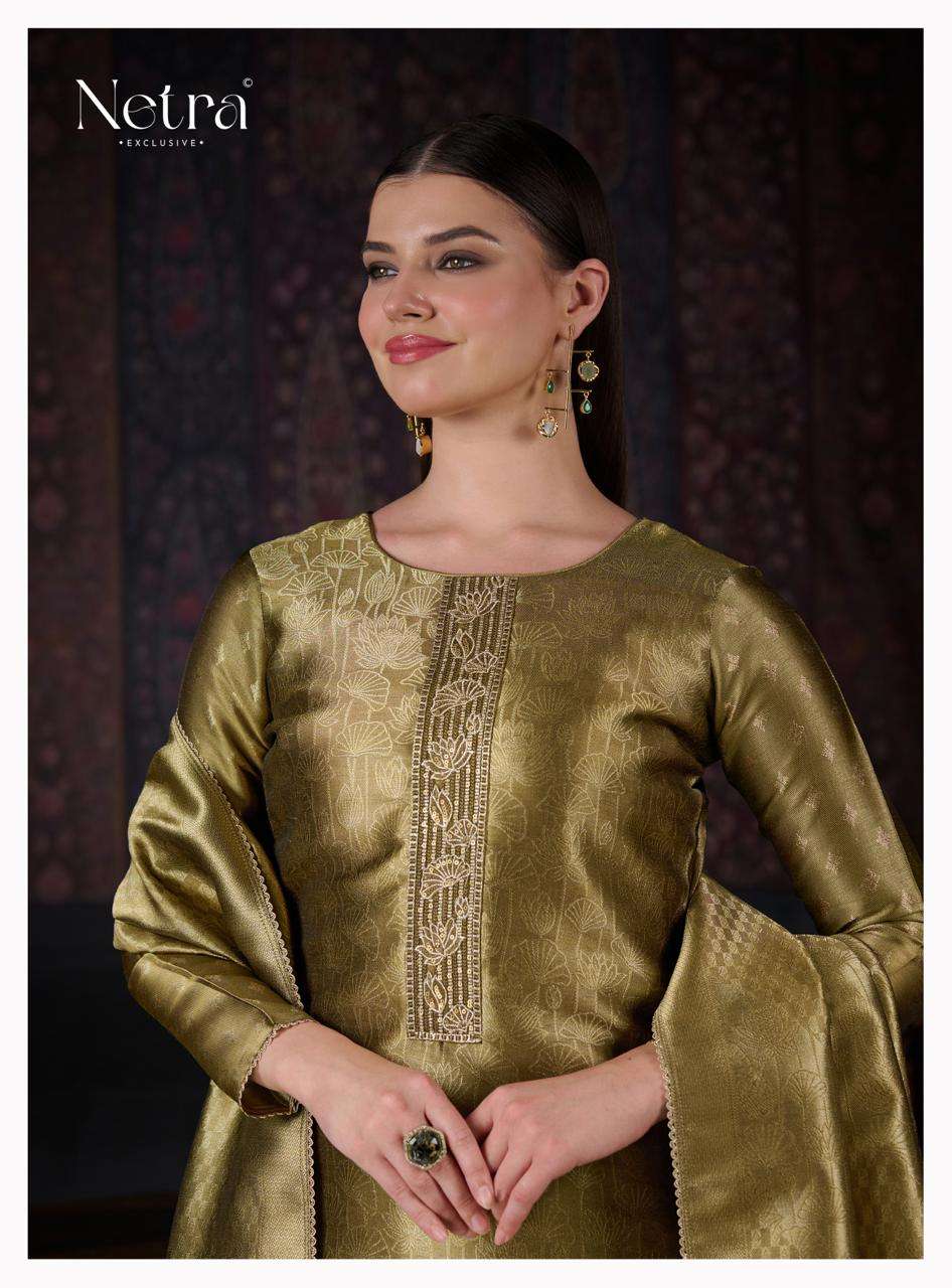 Netra Aavya