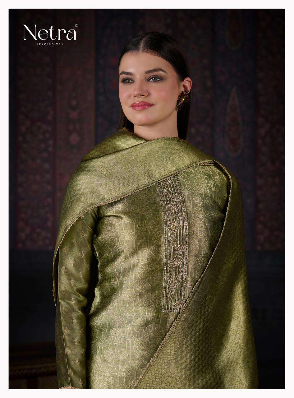 Netra Aavya