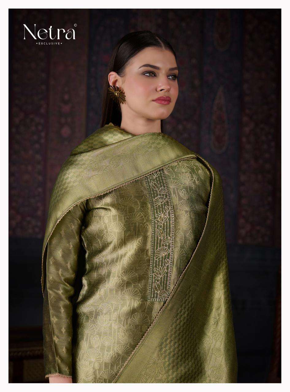 Netra Aavya
