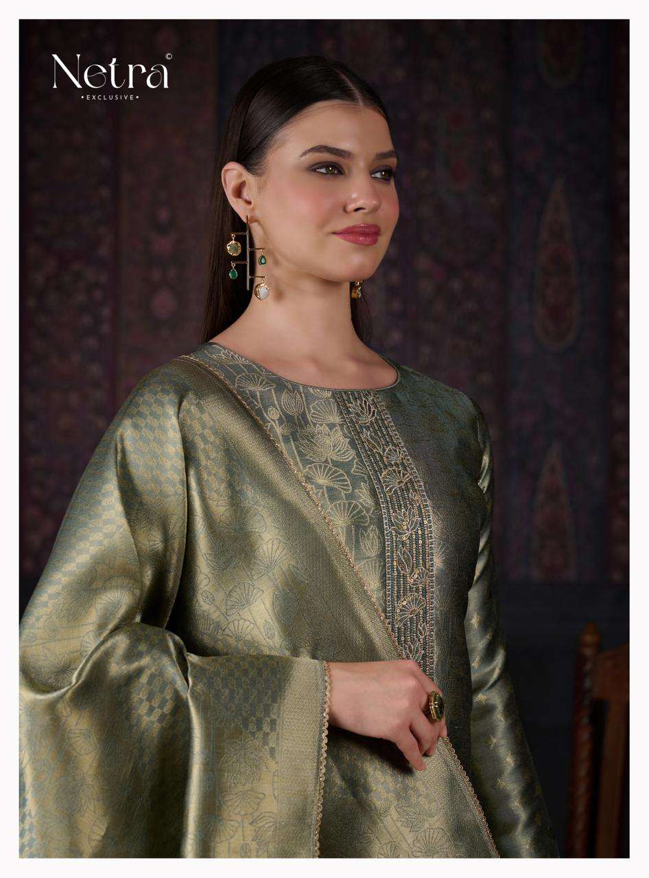 Netra Aavya
