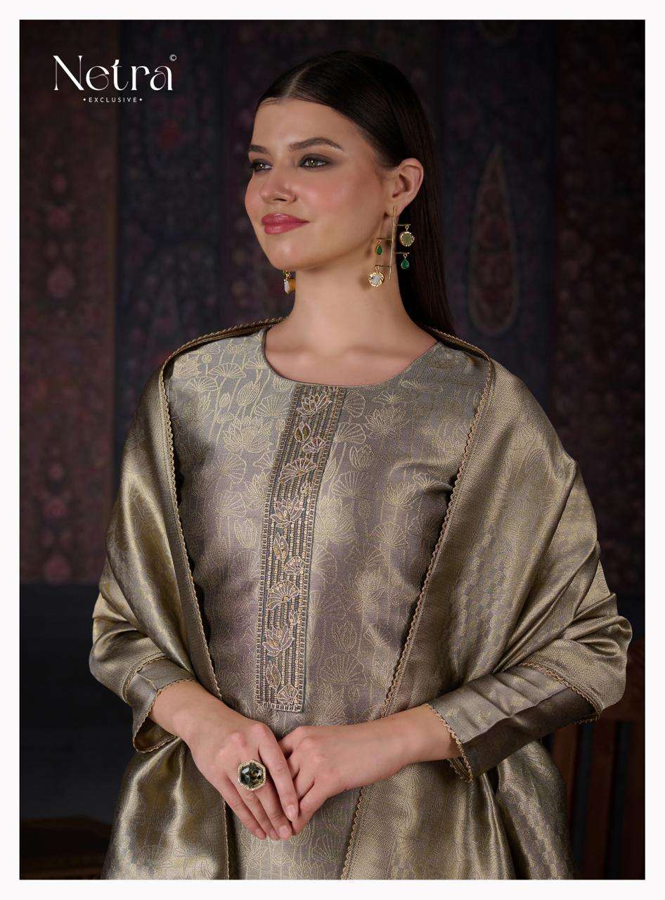 Netra Aavya