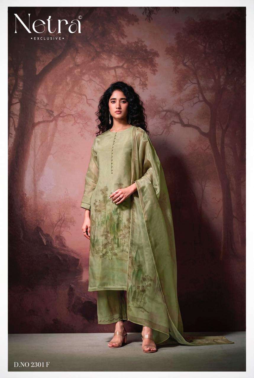 Netra Exclusive Arpita Pure Bemberg Gadwal Silk Dress Material