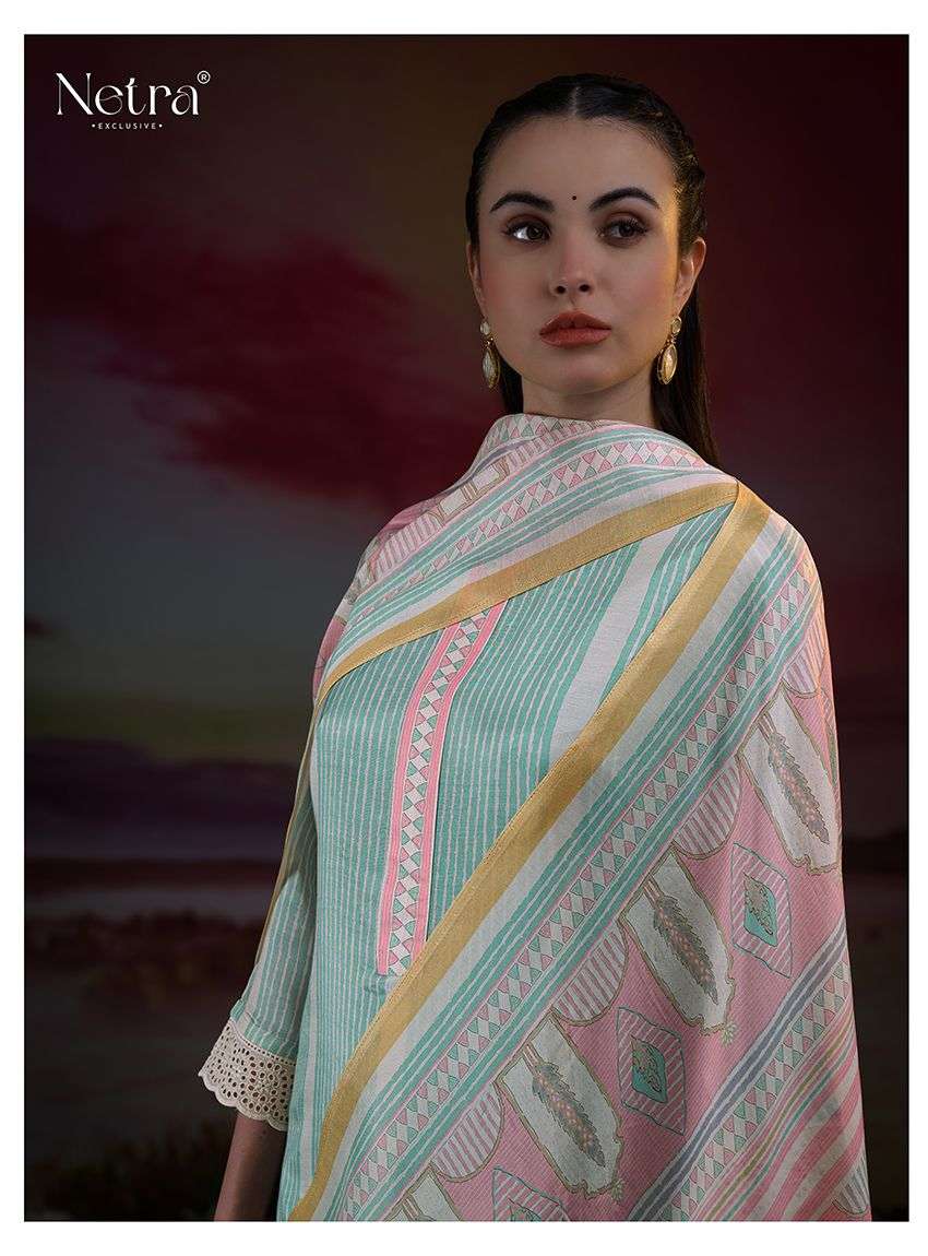Netra Exclusive Florina Dress Material Wholesale Catalogue - Amrah Wholesale
