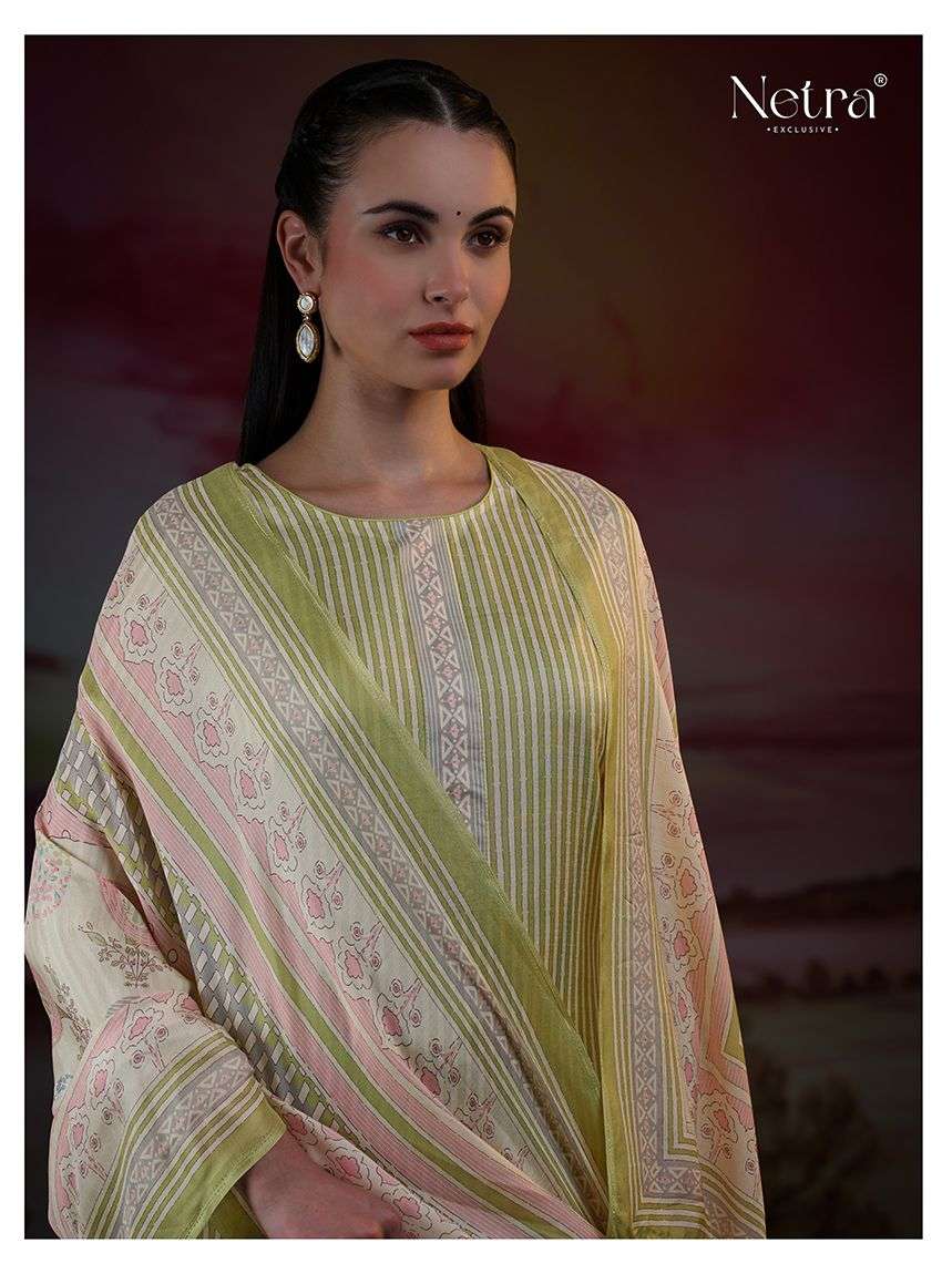Netra Exclusive Florina Dress Material Wholesale Catalogue - Amrah Wholesale