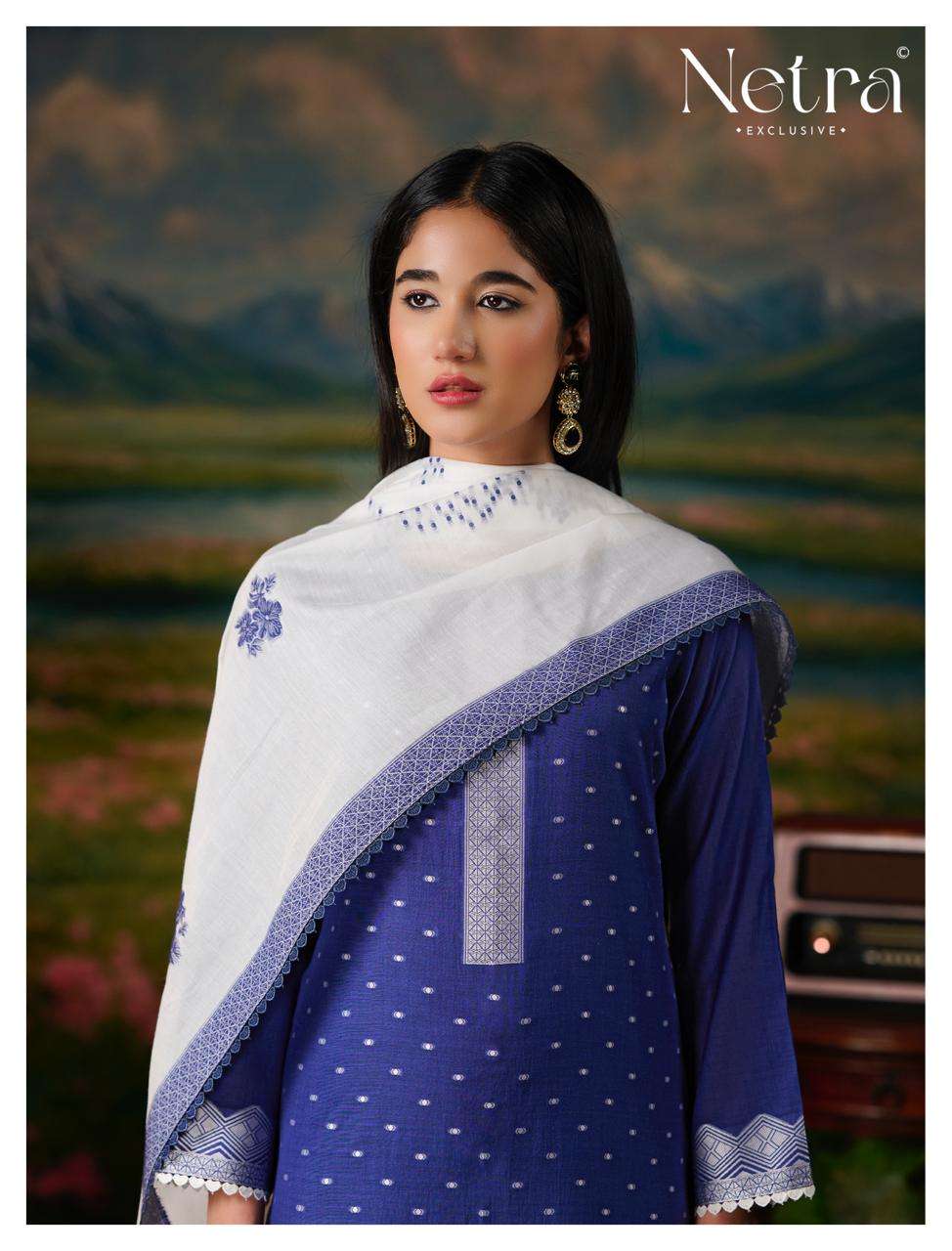 Netra Exclusive Hesika Banarasi Jamdani Dress Material - Amrah Wholesale