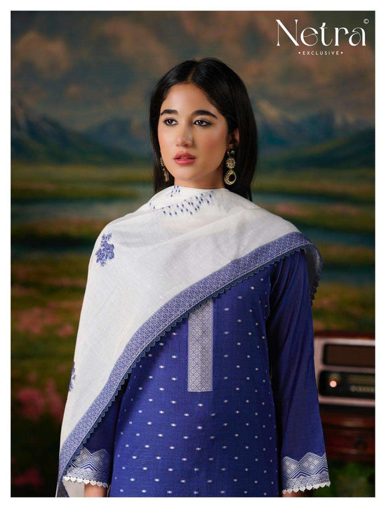 Netra Exclusive Hesika Banarasi Jamdani Dress Material - Amrah Wholesale
