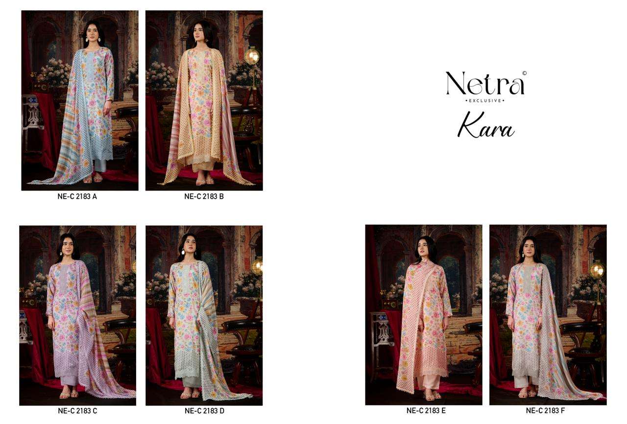 Netra Exclusive Kara Pure Bemberg Muslin Digital Print Dress Material - Amrah Wholesale