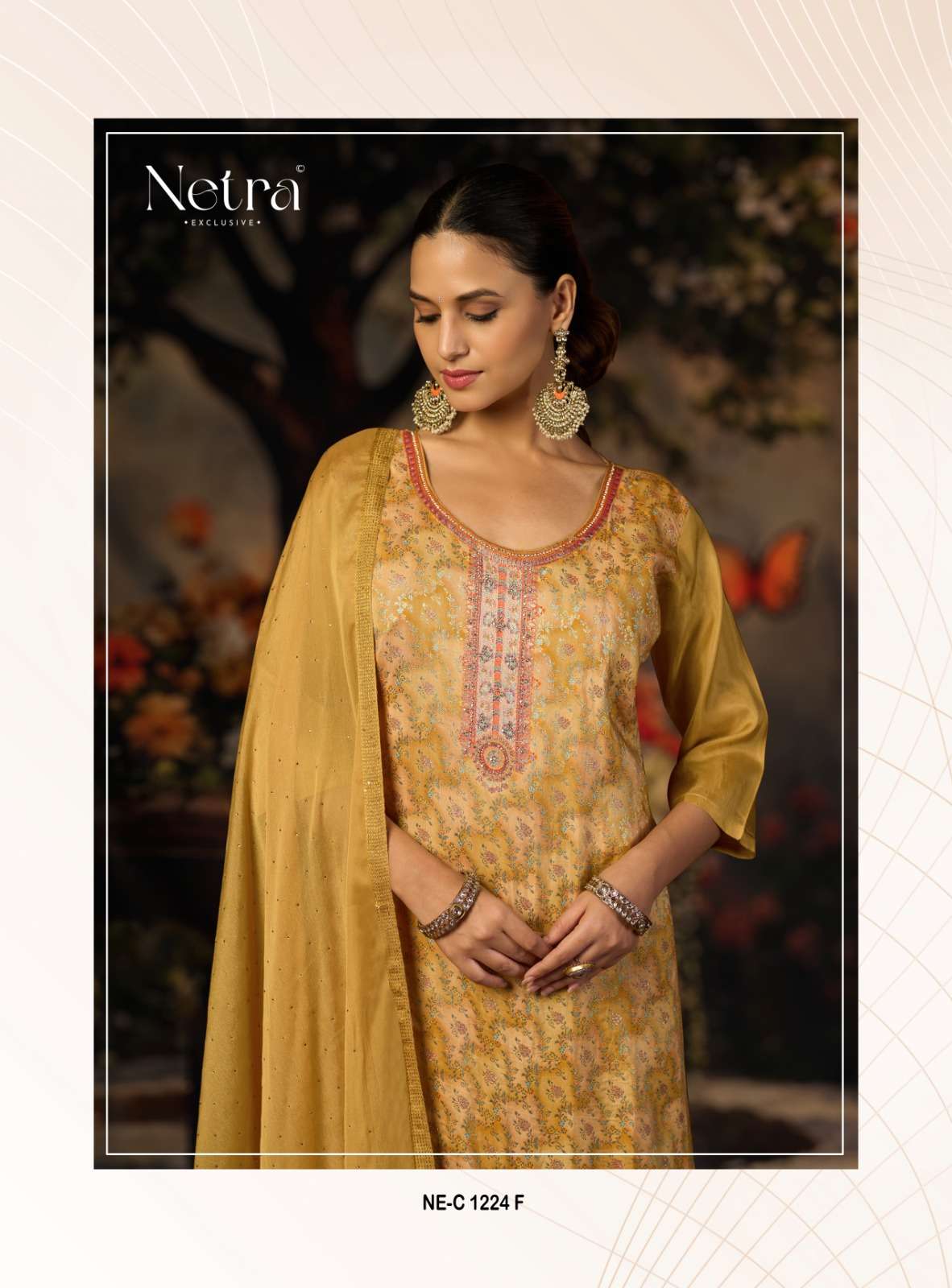 Netra Exclusive Kritika