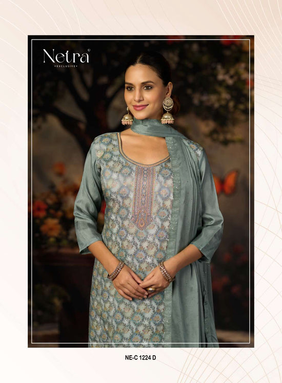 Netra Exclusive Kritika