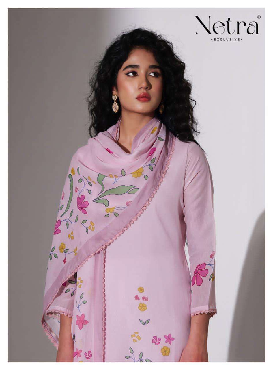 Netra Exclusive Mishri Banarasi Chanderi Pakistani Suit - Amrah Wholesale