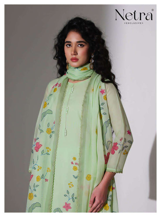 Netra Exclusive Mishri Banarasi Chanderi Pakistani Suit - Amrah Wholesale