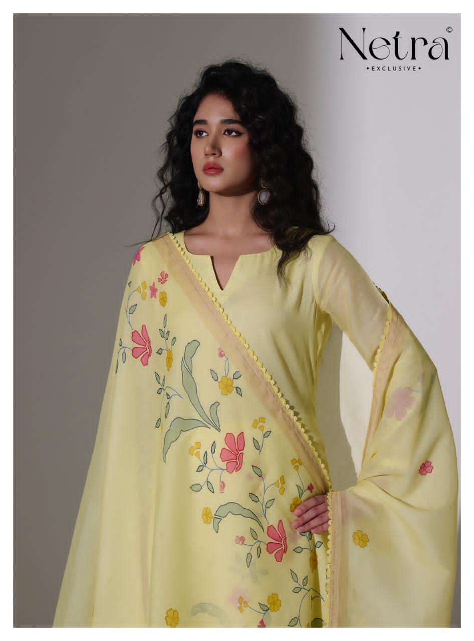 Netra Exclusive Mishri Banarasi Chanderi Pakistani Suit - Amrah Wholesale