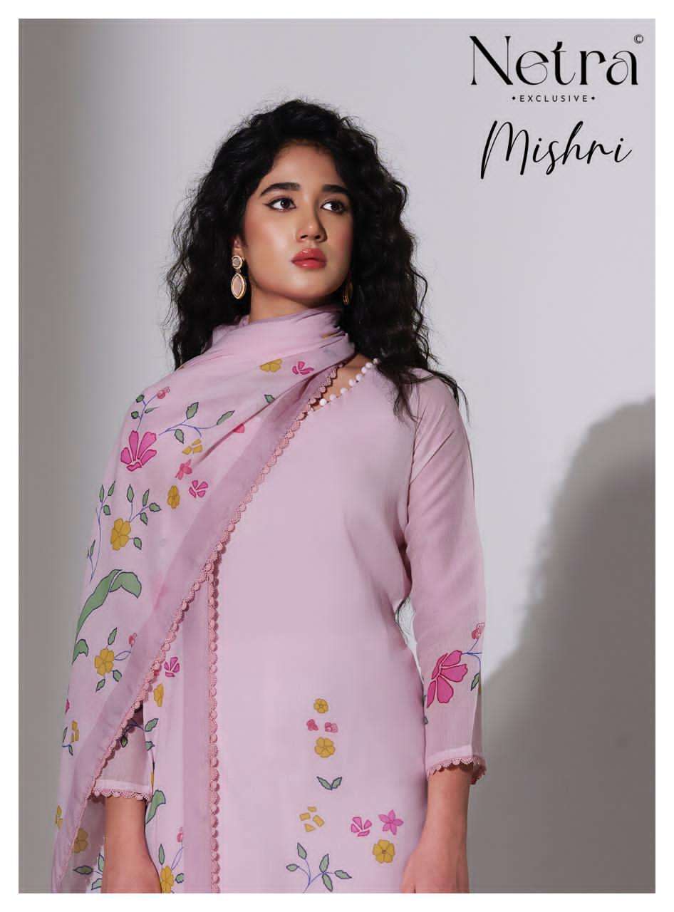 Netra Exclusive Mishri Banarasi Chanderi Pakistani Suit - Amrah Wholesale